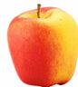 Gala Apples (6lb)